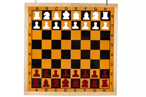 Demo Chess Boards