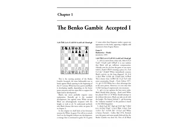The Benko Gambit by Jan Pinksi