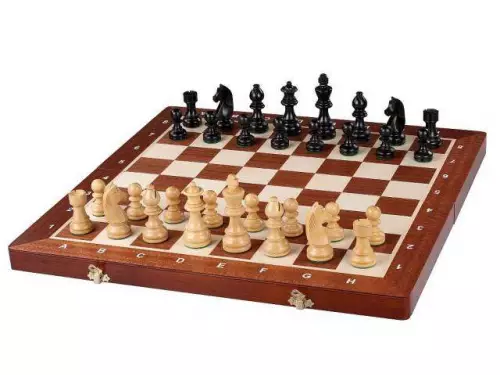 Chess Sets Guide
