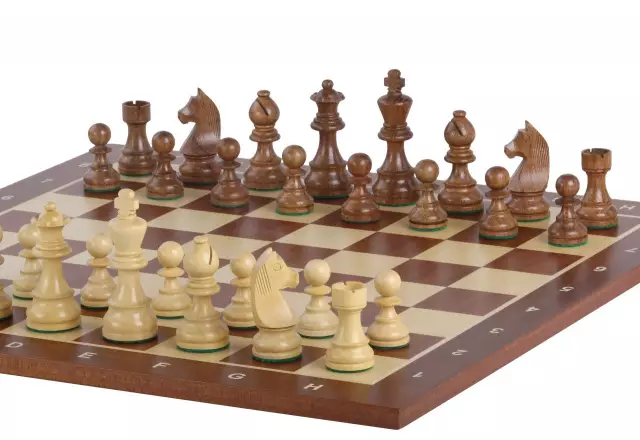 Tournament chess set No. 5 - 50mm board + German Knight 3.5" figures