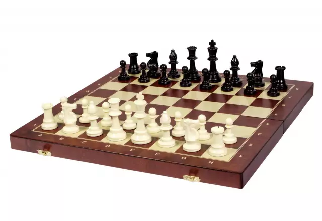 Practice chess 48 cm (field 50 mm, king 96 mm)