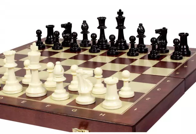 Practice chess 48 cm (field 50 mm, king 96 mm)