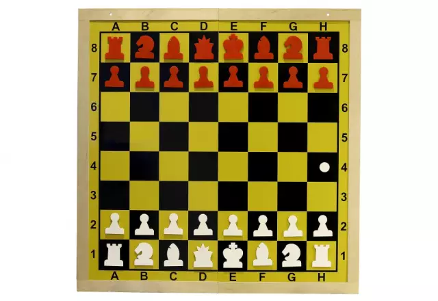 MAGNETIC DEMONSTRATION PLAYERS - wooden frame, folded in half, figures included