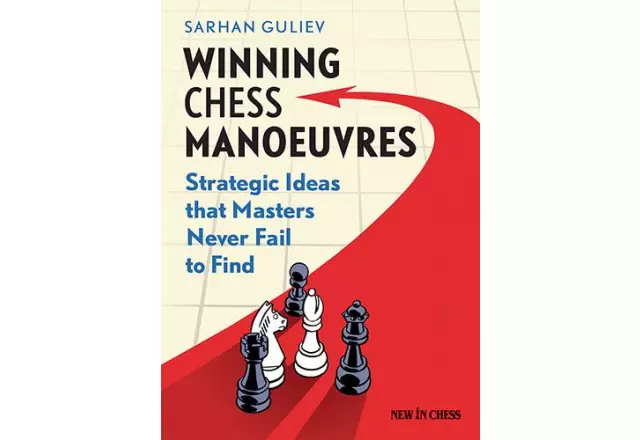 Winning Chess Manoeuvres: Strategic Ideas that Masters Never Fail to Find